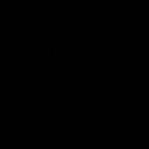 Meet your Posher, Jayda